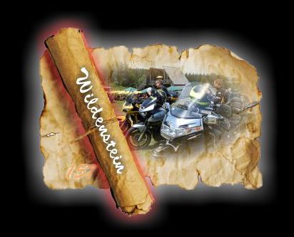 566 Wildenstein